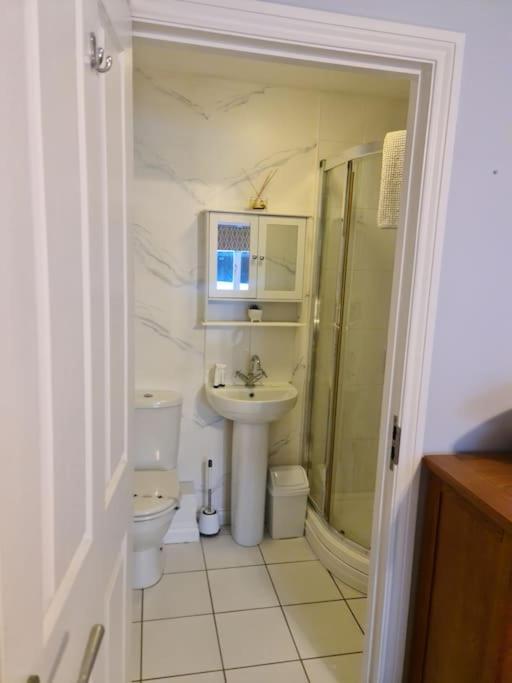 City Centre Top Floor Apartment In Belfast City Centre Екстериор снимка